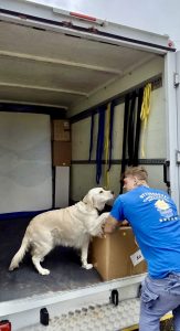 moving house with pets