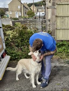moving house with pets